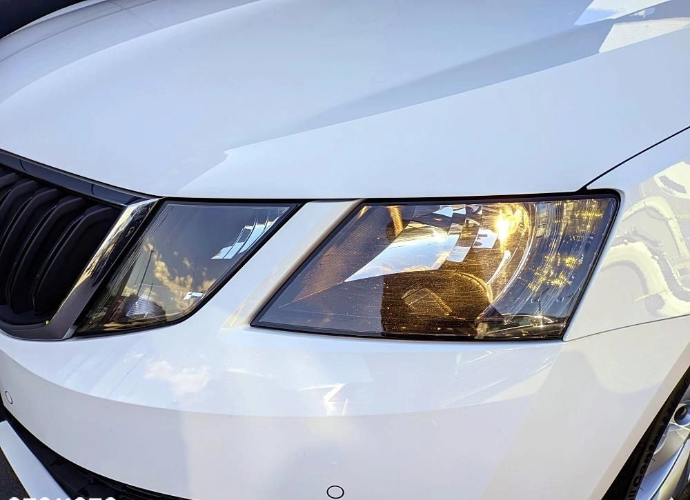 Skoda Octavia cena 69900 przebieg: 112198, rok produkcji 2019 z Sułkowice małe 407